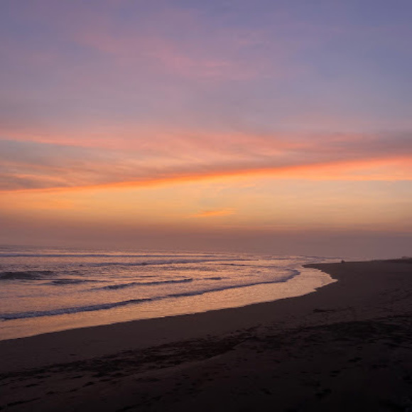 Meet your Posher, Pablo - Picture 1 of 1